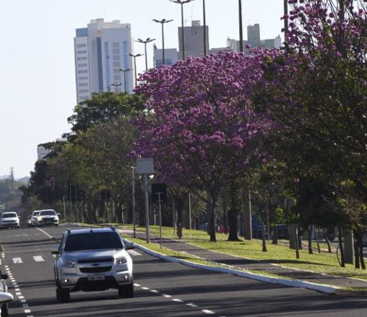 Terça-feira promete ser de sol e tempo firme em Mato Grosso do Sul, mas frio permanece
