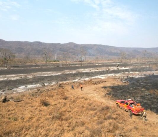 PANTANAL: situação climática severa intensifica incêndios florestais e combate a oito focos tem ações intensas