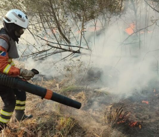 Mulheres têm papel de destaque no combate aos incêndios no Pantanal