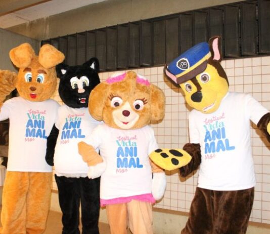 AGENDÃO: Festivais Vida Animal, do Sobá e da Rapadura, além de concertos e teatro, aquecem o fim de semana