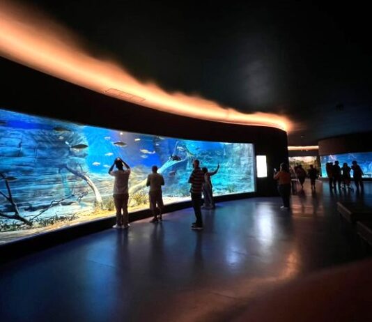 BIOPARQUE PANTANAL atrai olhares do mundo e projeta Campo Grande no cenário turístico