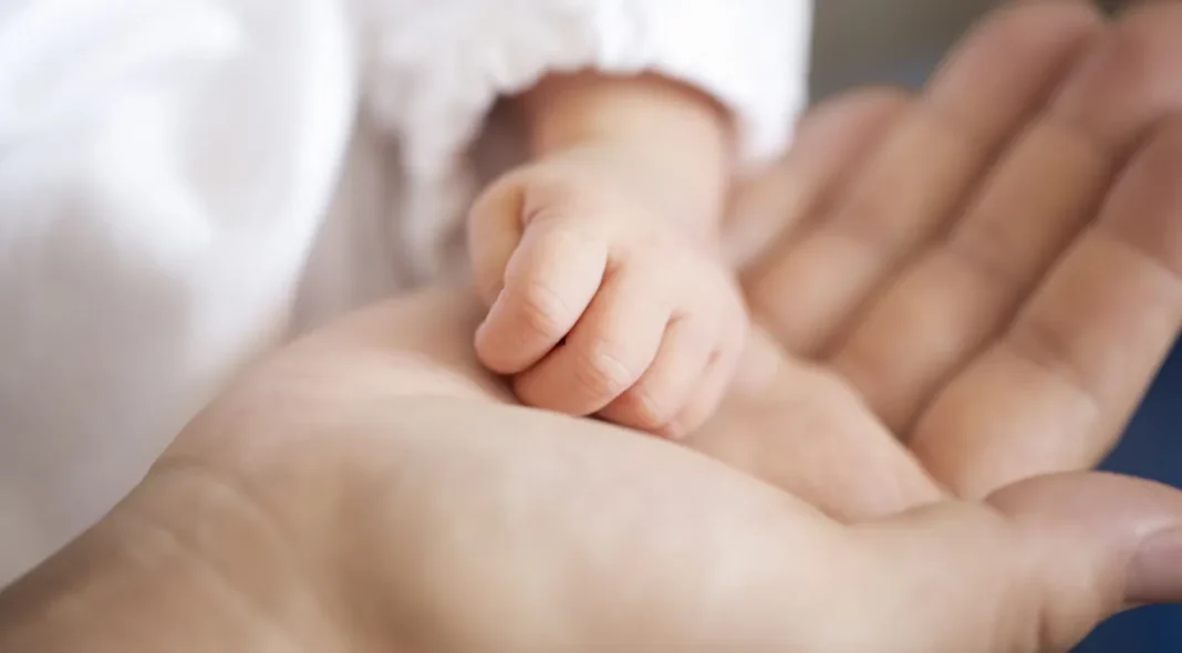 bebe