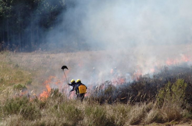 bombeiros-SC-730x480