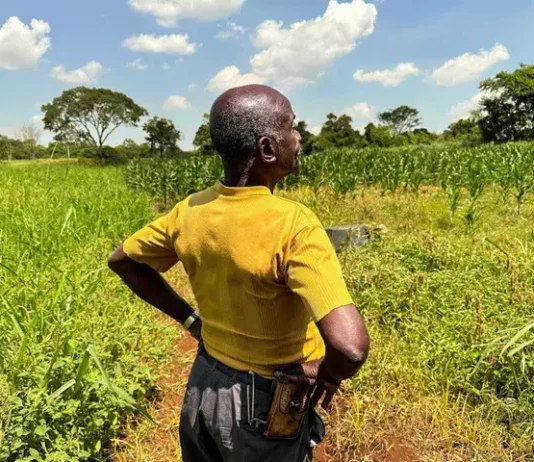 Comunidades quilombolas de Mato Grosso do Sul serão mapeadas em 30 dias