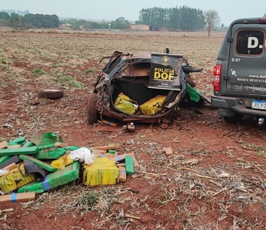 VÍDEO: rapaz capota carro com quase 1.000 kg de maconha e acaba preso; droga foi apreendida pelo DOF