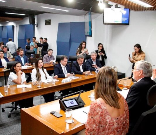 Com articulação da Assembleia Legislativa, MS vai elaborar plano de trabalho contra queimadas