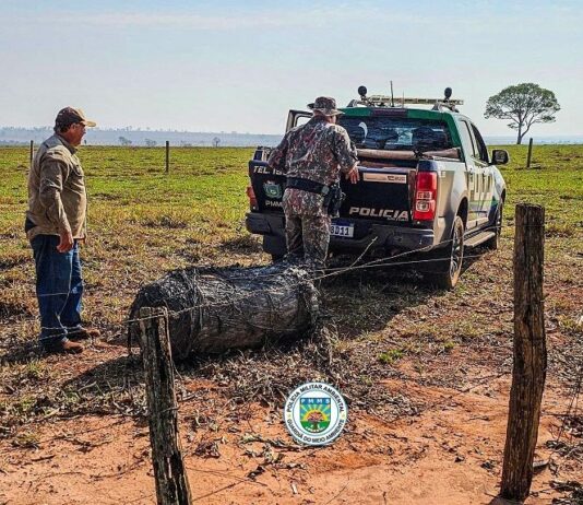 Lixo Espacial cai do céu em Naviraí; policiais militares ambientais recolhem o artefato em área de fazenda