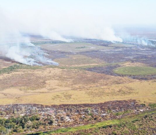 PF investiga incêndios criminosos na região do Pantanal
