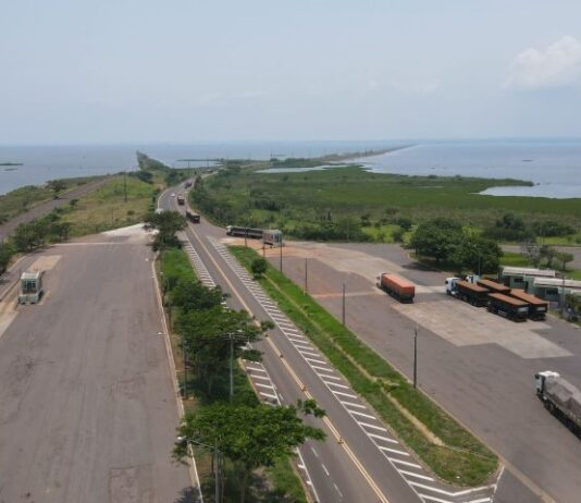 Oficializada inclusão de rodovias federais da ‘Rota da Celulose’ no programa de concessão de Mato Grosso do Sul