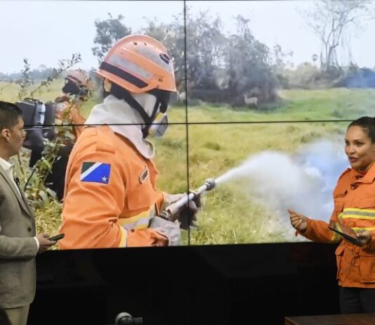 Situação de seca em MS intensifica incêndios florestais e trabalho de combate em todos os biomas