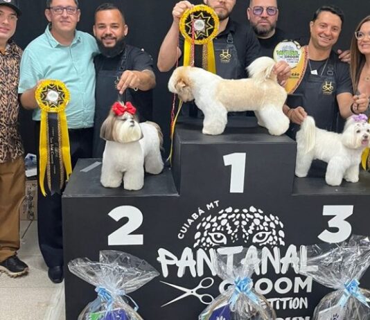 Mato Grosso do Sul celebra prêmio em competição nacional de estética animal na Expopet Cuiabá