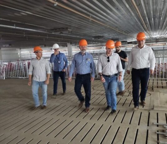 Alto nível de biosseguridade animal credencia MS a abrigar projeto de genética suína para o Centro-Oeste