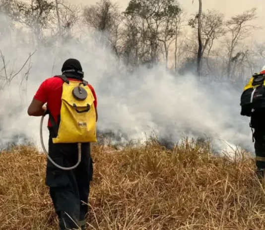 Brasil envia 62 bombeiros para combater incêndios florestais na Bolívia