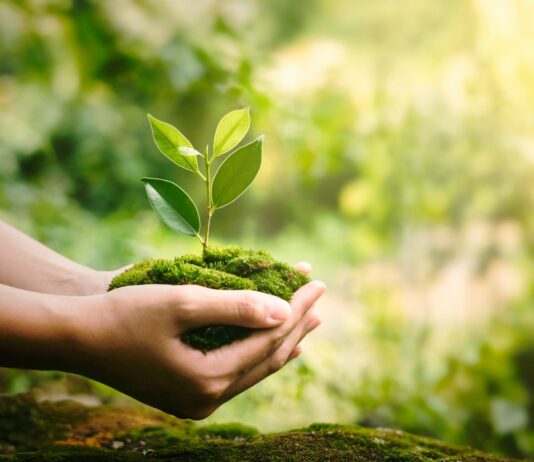 GRADUAÇÃO EM SUSTENTABILIDADE: solução para enfrentar as mudanças climáticas e garantir o futuro do planeta