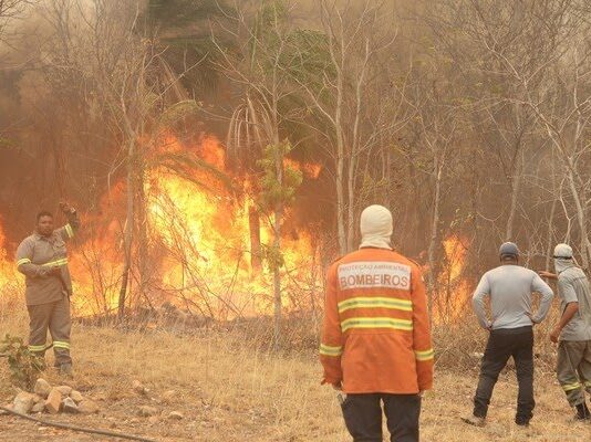 Brigadistas do Ibama iniciam combate a incêndio na Bolívia que ameaça Serra do Amolar