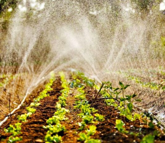 Via Fundect e Semadesc, Governo investe mais de R$ 5 milhões em Programa de Residência Agrária