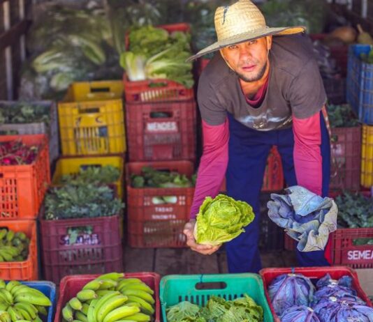 SES celebra 10 anos do Guia Alimentar Brasileiro com web aula sobre inclusão e promoção da saúde
