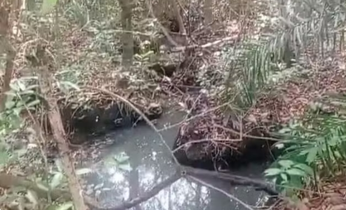 rio-formoso-boniyo