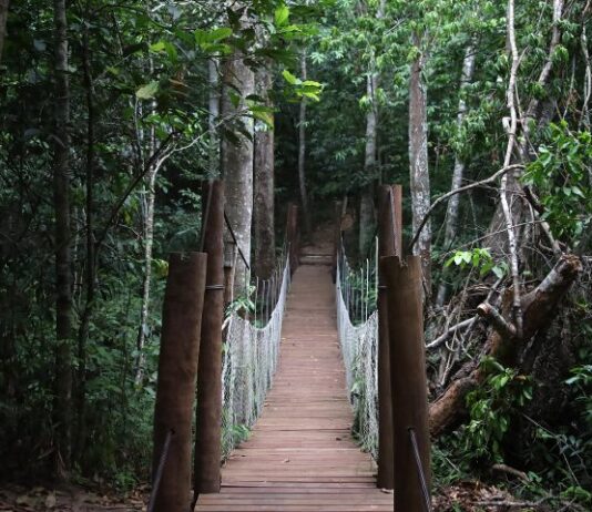 CAMPO GRANDE: Com deck, mirante e ponte suspensa, parque da Corrida da PMA é aberto para população