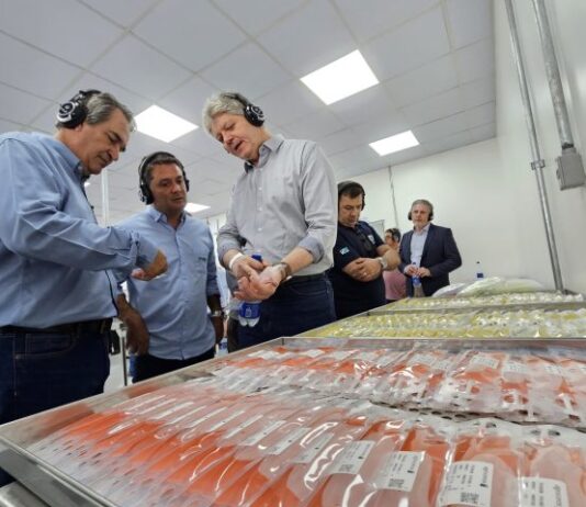 SUINOCULTURA: Com investimento de R$ 50 milhões, empresa inaugura 1ª Unidade de Disseminação de Genes em MS