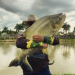 whatsapp-image-2024-11-02-at-082316-2