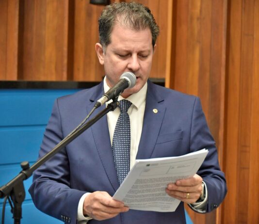Renato Câmara Solicita Melhorias Urgentes em Pontes no Interior de MS