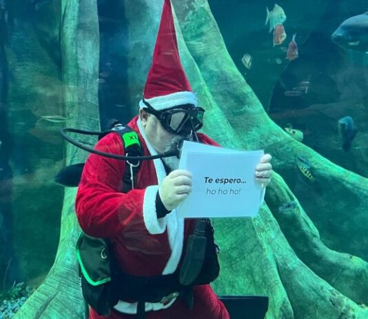 Com Papai Noel mergulhador, Bioparque Pantanal anuncia programação especial de dezembro