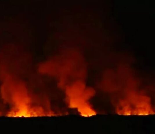 Crimes ambientais como incêndios dolosos grupo se articula para propor revisão de penas