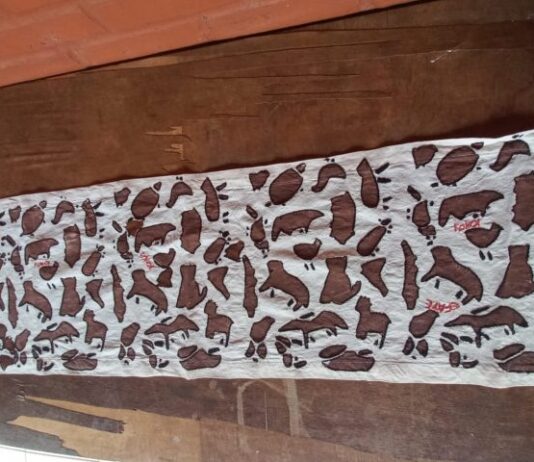 Na Colômbia, Expoartesanías exibe obras de artesãs de Mato Grosso do Sul