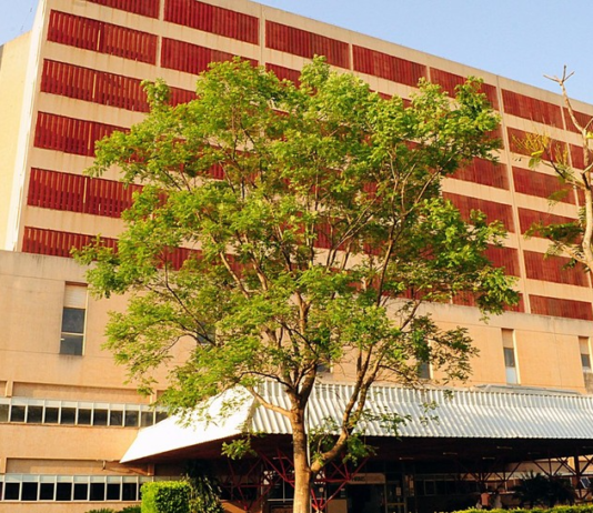Menino leva mais de mil picadas de abelhas em hospital de MS