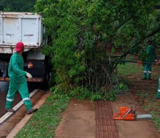 Parque dos Poderes recebe manutenção e melhorias para segurança e lazer dos campo-grandenses