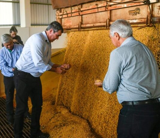 Silos da Copasul foi inaugurado hoje em Maracaju e capacidade de processar soja em MS crescerá 20%
