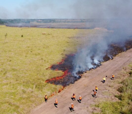 SUSTENTABILIDADE: Governo de MS moderniza controle de queimadas e fortalece prevenção a incêndios florestais