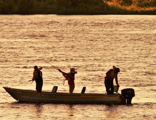 Modalidade ‘pesque e solte’ está liberada na calha do rio Paraguai a partir de sábado