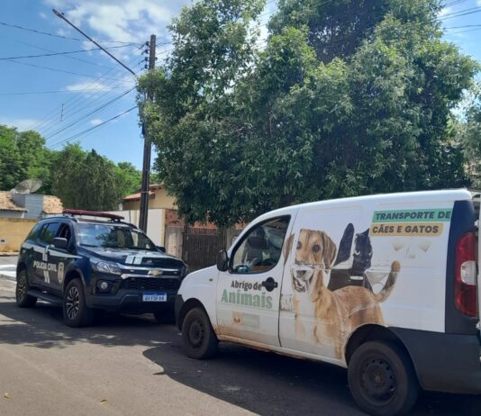 NAVIRAÍ: animal de estimação sofre maus-tratos; Vigilância em Saúde resgata o pet após denúncia
