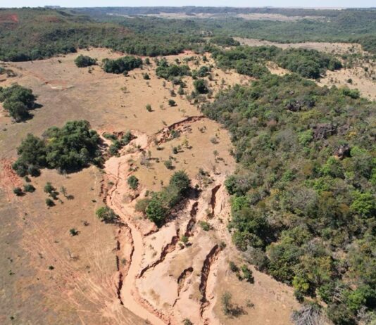 Com R$ 6,7 milhões, Rio Taquari no MS recebe projeto de restauração ecológica