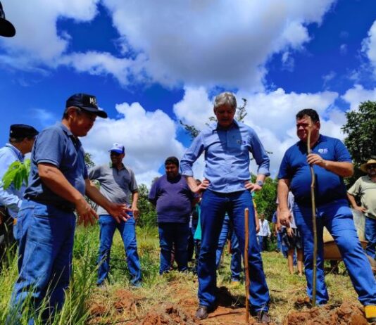 INCLUSÃO VERDE: Mato Grosso do Sul inseri a agricultura familiar no mercado de crédito de carbono