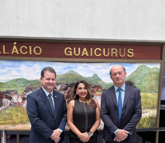 Assembleia Legislativa e FCDLMS discutem Parceria Estratégica entre MS e Jujuy/Argentina