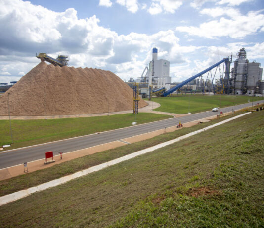 Megafábrica de celulose pode não sair do papel em Mato Grosso do Sul