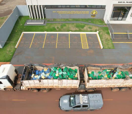 DOF e Denarc do Paraná apreendem quase 8 toneladas de drogas em ação conjunta