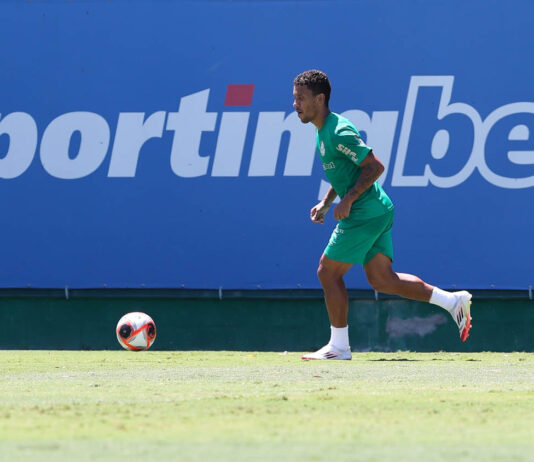 Palmeiras treina dinâmicas de jogo e M. Rocha destaca motivação por títulos
