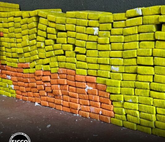 Polícia apreende quase meia tonelada de drogas em comunidade de Foz do Iguaçu