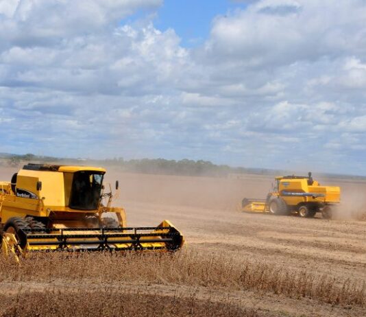 PRODUÇÃO AGRÍCOLA: Mato Grosso do Sul deve colher 75,3 milhões de toneladas na safra 2024/25