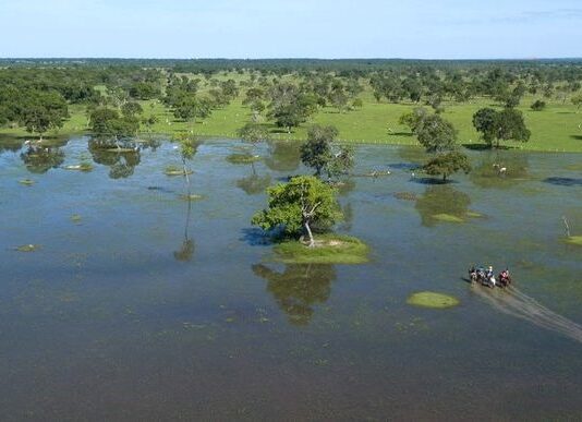 CAMPO GRANDE vai sediar a COP15, conferência internacional sobre Espécies Migratórias em março de 2026