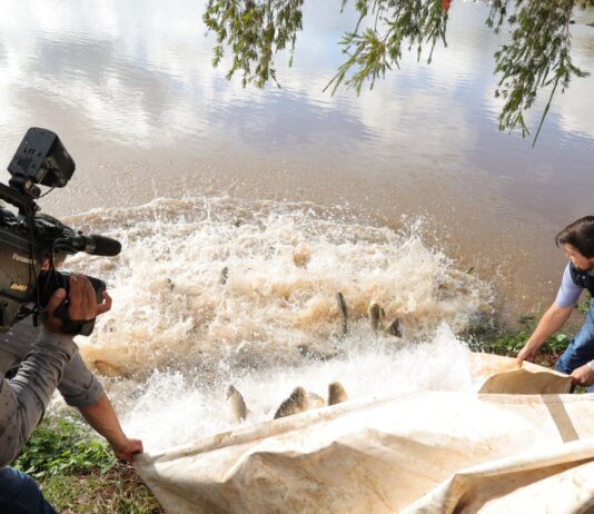 FESTA DA PÁSCOA: Em Dourados, 2,5 toneladas de peixes são soltos para pesca no Parque Antenor Martins