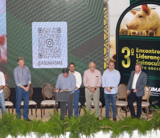 Modernização do programa Leitão Vida fortalece a competitividade da cadeia produtiva de MS
