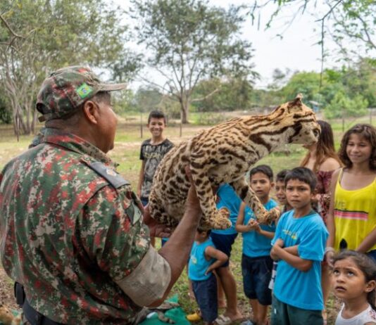 Com expedições e campanhas, PMA faz ações de orientação sobre animais silvestre durante todo o ano