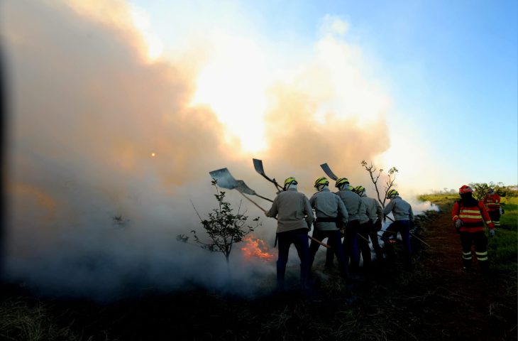 Alunos-do-corpo-de-Bombeiros-passam-por-treinamento-de-combate-Foto-Saul-Schramm2-730x480