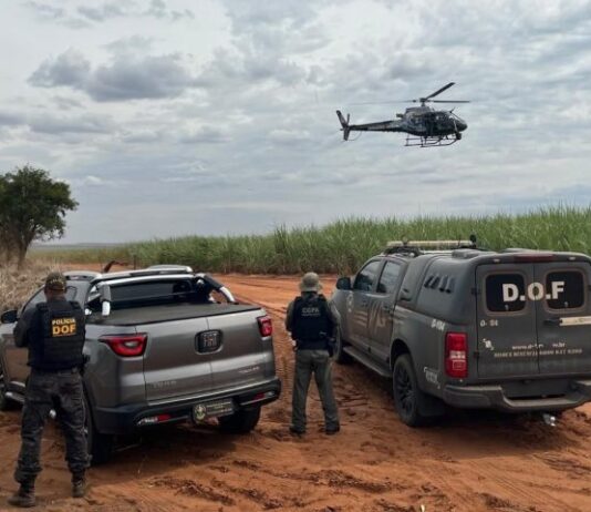 Apreensões de drogas crescem 151% no primeiro trimestre em Mato Grosso do Sul