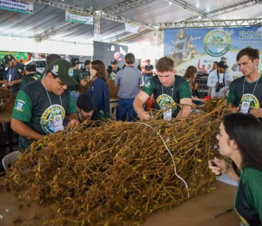 LAGUNA CARAPÃ realiza o 25º Concurso Pé de Soja e comemora investimentos em infraestrutura